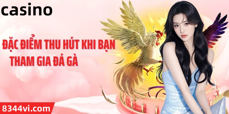 Hình ảnh quảng cáo của k8c hiển thị nền tảng và các lợi ích